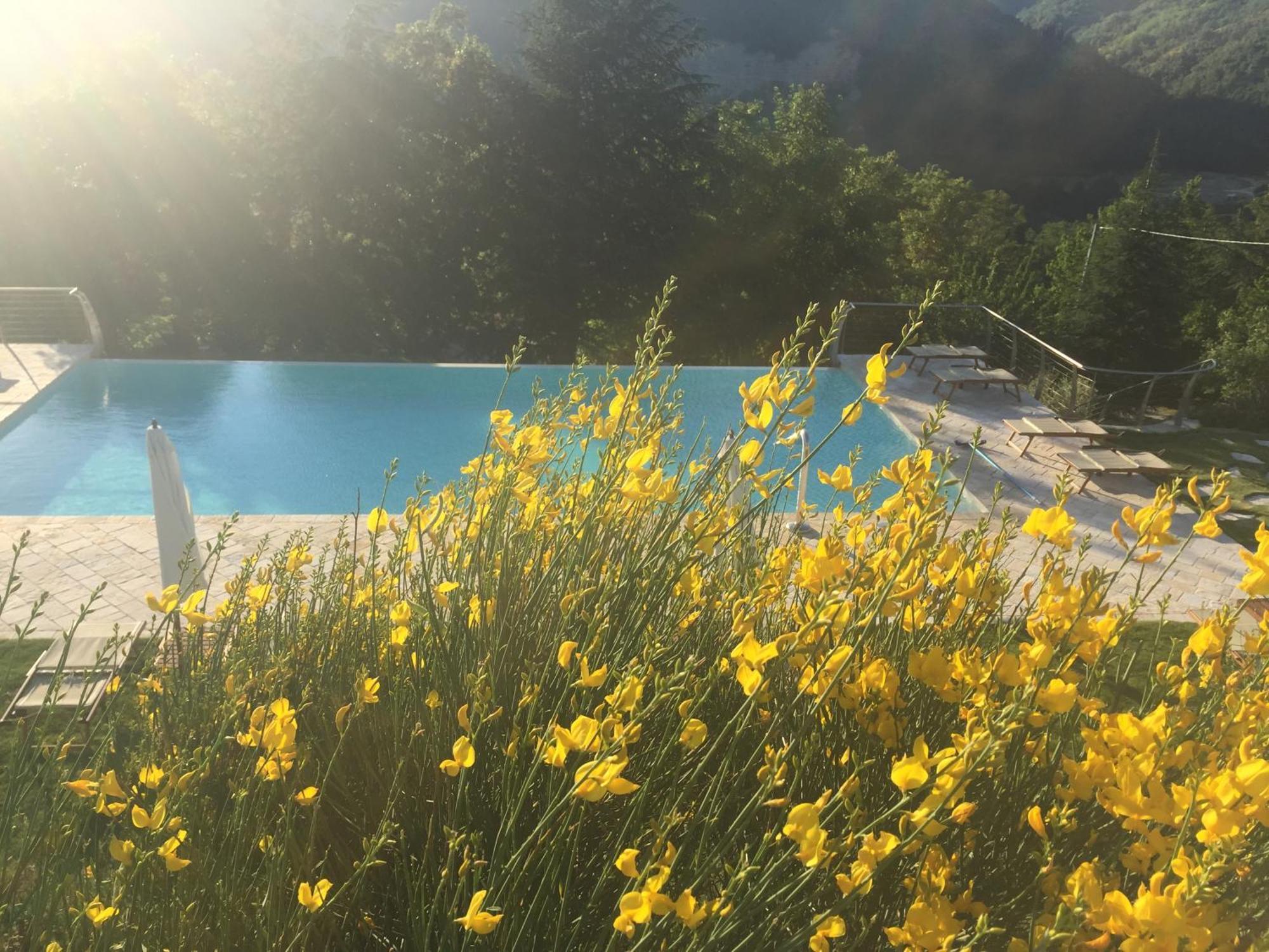 Agriturismo Corte Dei Mori Brisighella Dış mekan fotoğraf