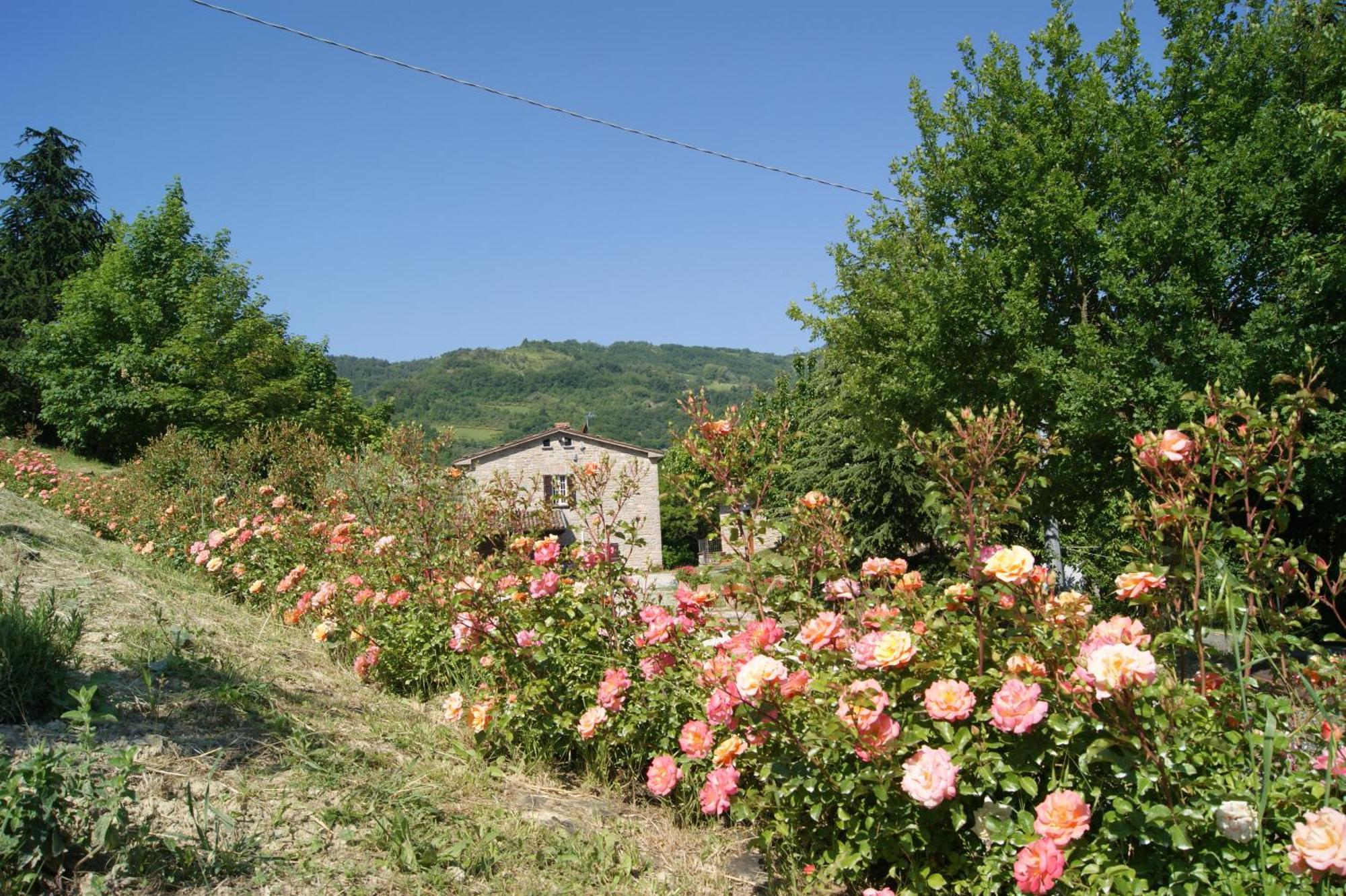 Agriturismo Corte Dei Mori Brisighella Dış mekan fotoğraf